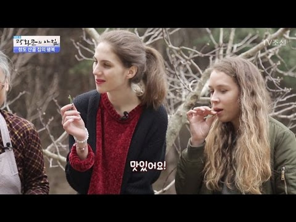 부추 맛에 빠진 외국 소녀들! [광화문의 아침] 465회 20170418