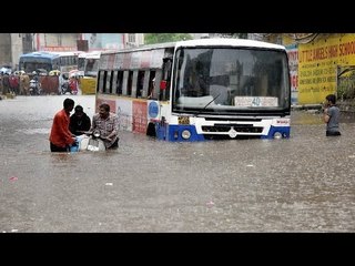 Download Video: Andhra Pradesh face flood like situation cause of heavy rainfall | Oneindia News