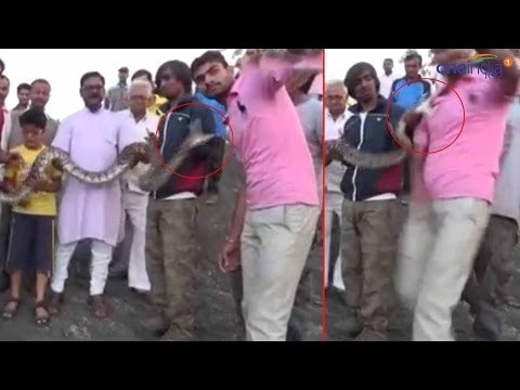 Python attacks man while he tries clicking selfie with it, Watch shocking video| Oneindia News