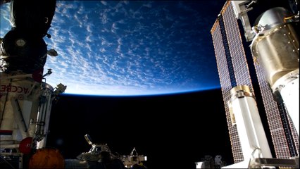 ALIEN PARADISE de Maxime Augais