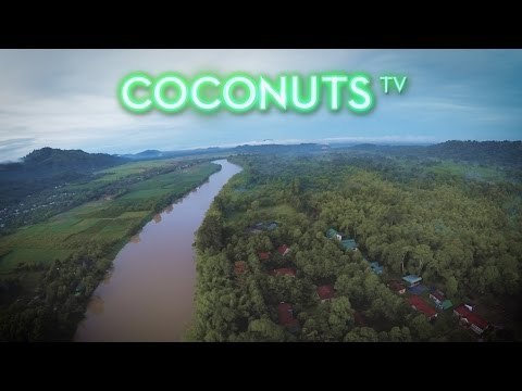 Getting Lifted: Cuc Phuong National Park | Coconuts TV
