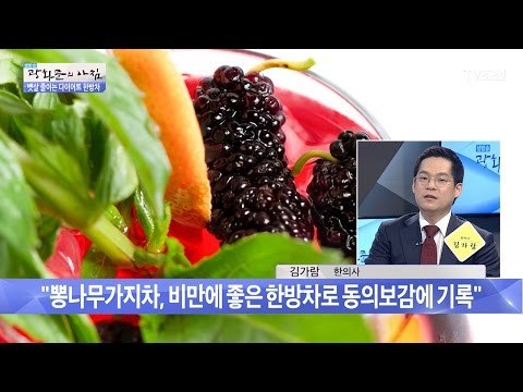 식욕을 억제해주는 ‘뽕나무가지차’ [광화문의 아침] 457회 20170406
