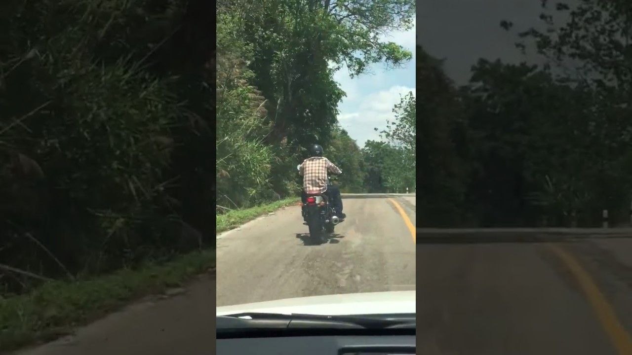 Motard vs Serpent