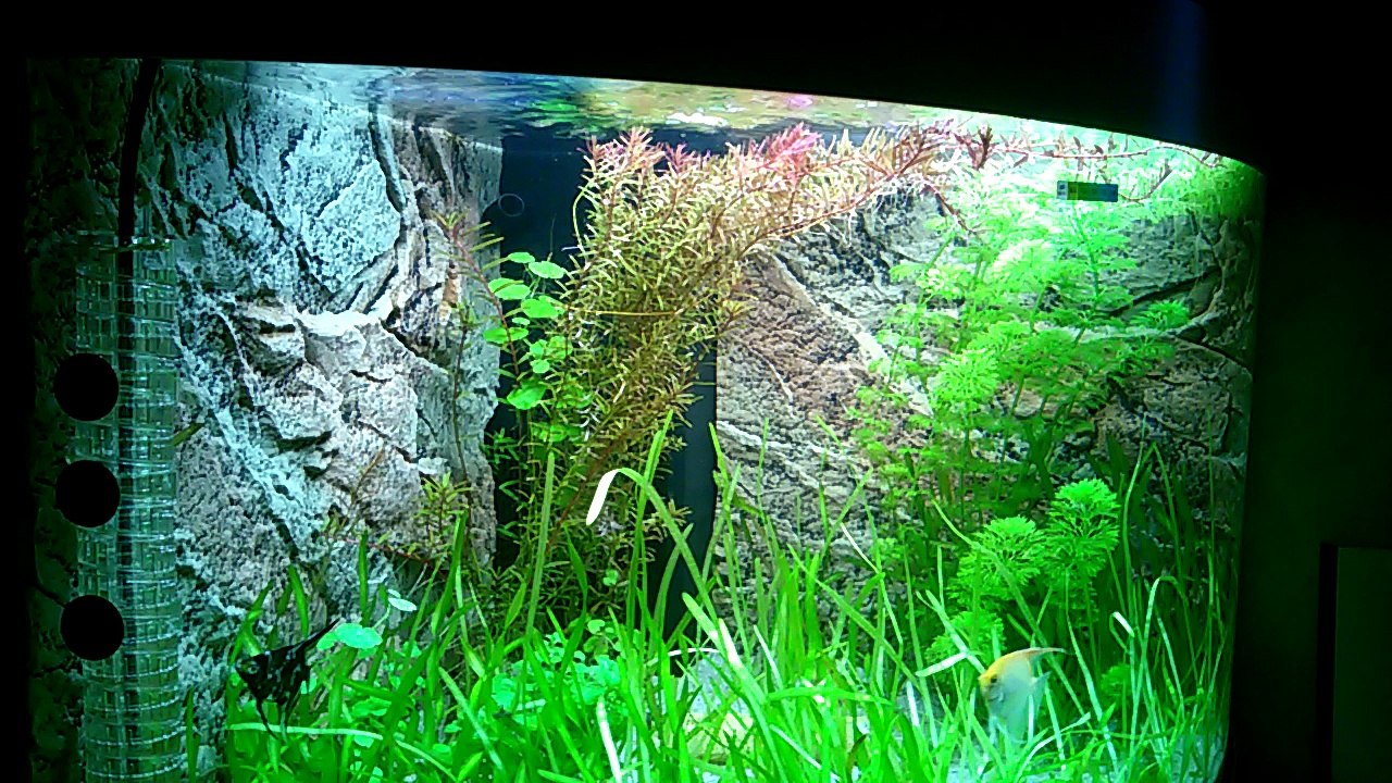 Aquarium