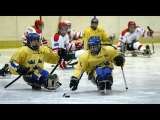 Novi Sad 2012: Sweden-Austria