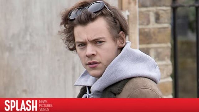 Harry Styles Surprises Fans With Pizzas