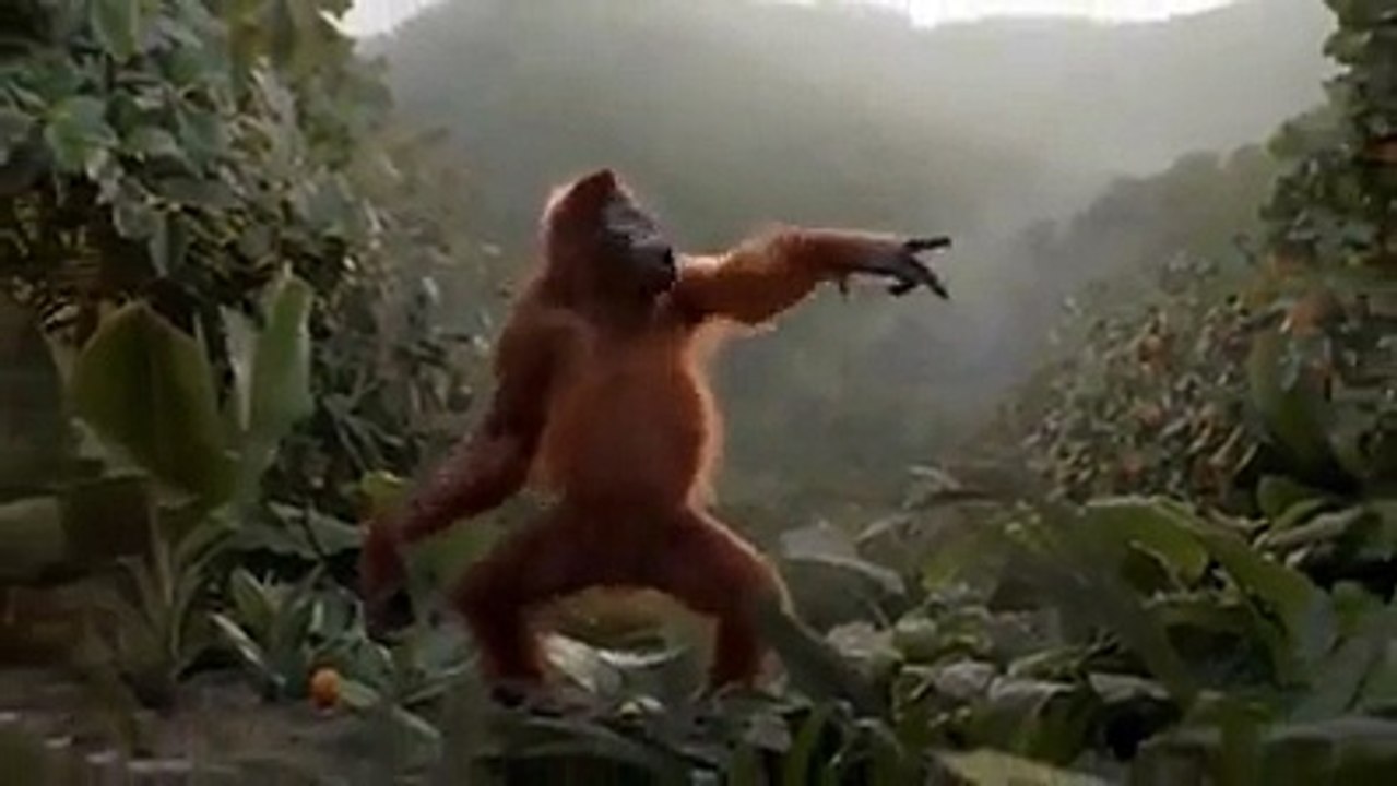 dancing monkey