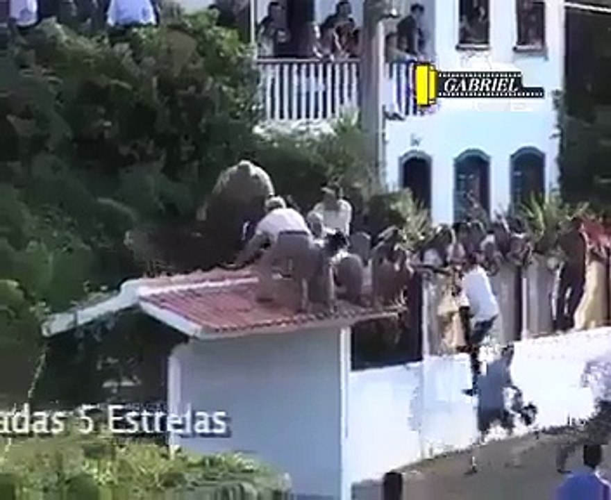 يفعل الجاهل بنفسه ما لا يفعله العدو بعدوهِ