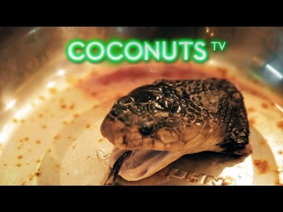 Freaky Feasts | The Saigon Snake Experience | Coconuts TV