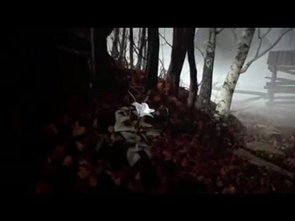 Datura : trailer#1