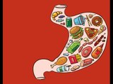 Mẹo Vặt Cuộc Sống - Top 14 thực phẩm giúp tốt cho dạ dày