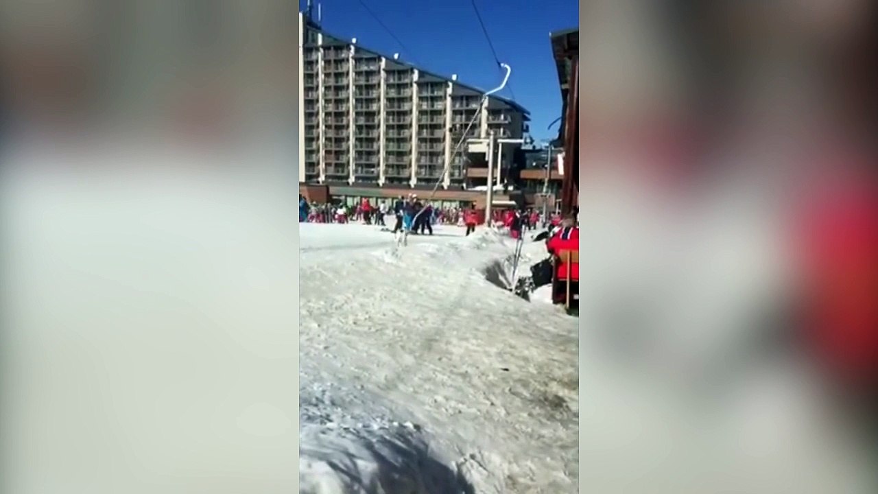 Ce chien veut prendre le tire-fesses dans une station de ski !