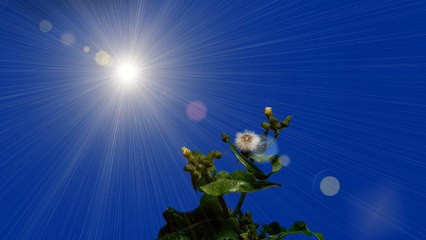 WBU 중절가능한병원 [낙태수술  ~메일로 문의하세요.] 중절수술비용