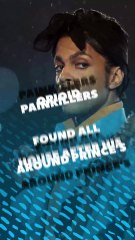 Opioid painkillers found all around Prince’s house after his death