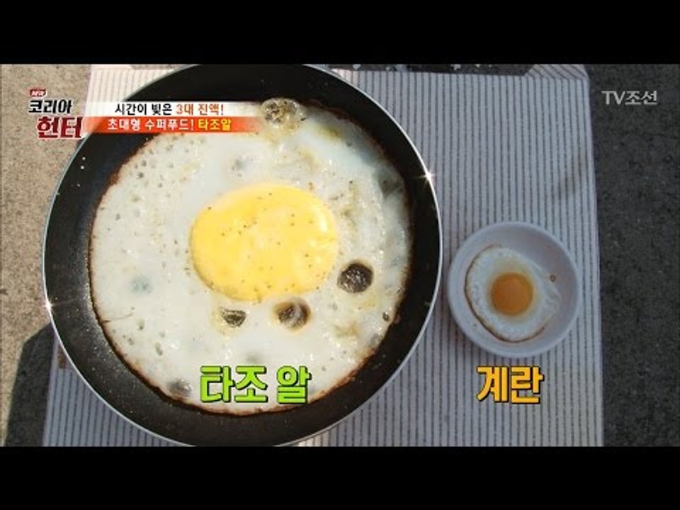 초대형 타조 알, 제가 한번 먹어보겠습니다. [뉴 코리아 헌터] 44회 20170403