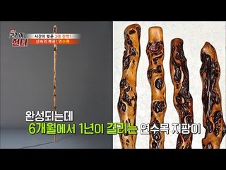 산 속의 복권! 말라 죽은 나무가 천만 원?! [뉴 코리아 헌터] 44회 20170403
