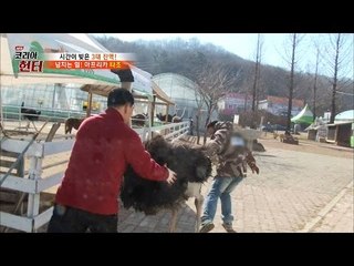 성인 남성 두명 보다도 센 타조 한마리 [뉴 코리아 헌터] 44회 20170403
