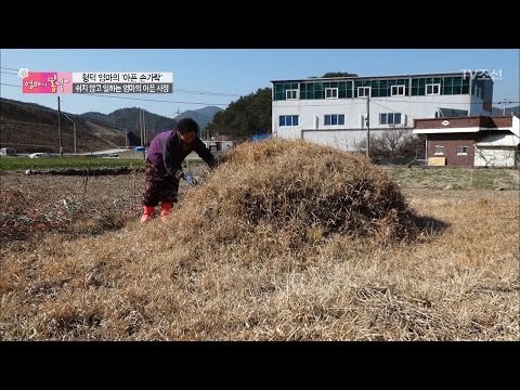 미우나 고우나 내 남편, 엄마의 아픈 사연은... [엄마의 봄날] 83회 20170403