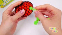 Squishy Balls Busted Broken Learn Colors for Kids-3Fwr73_6A4A