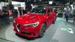 Alfa Romeo SUV revealed - is the Stelvio Quadrifoglio the hottest 4X4 ever _ Top