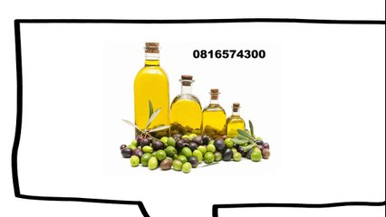 081-657-4300 (Indosat) Jual Minyak Zaitun Asli Banjarnegara