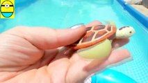 Toys review toys unboxing. Robo turtle. Turtle robot rofofish unboxing toys egg surprise
