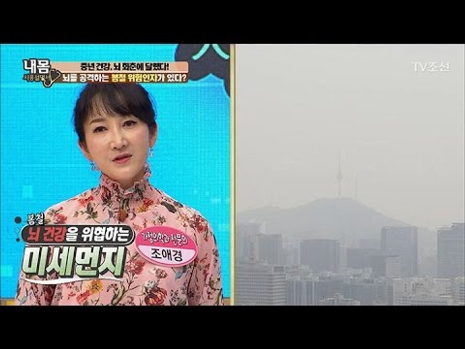 뇌를 공격하는 봄철 위험인자 ‘미세먼지’ [내 몸 사용설명서] 147회 20170331