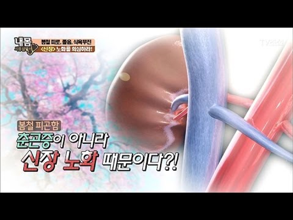 봄철 피곤함은 춘곤증이 아니라 신장 노화때문이다! [내 몸 사용설명서] 147회 20...