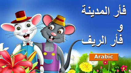 فأر المدينة و فأر الريف - حكايات - قصص اطفال قبل النوم -