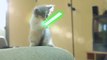 FUN! Star Wars : Jedi Kittens (Full Movie) HD