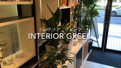 ネクストステージ中野の戸建に住むならオシャレな庭にしたい！ (12)