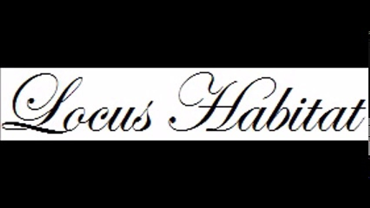 Leather Sofas - www.locushabitat.com