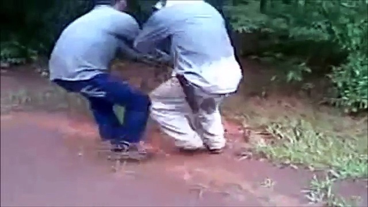 Man grabs giant anaconda