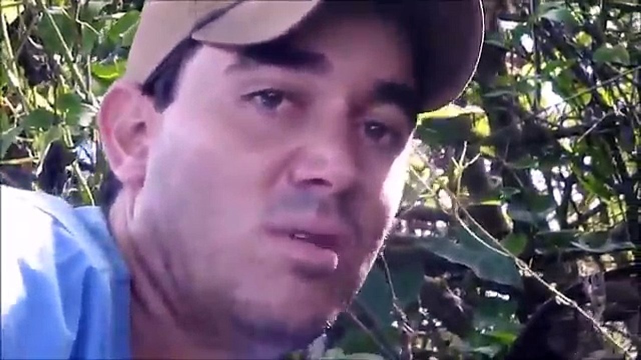 Man tries to catch giant anaconda