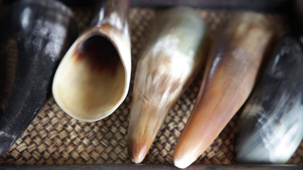 Tortured Beauty: Getting scraped with a buffalo horn (Gua Sha)