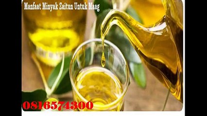 081-657-4300(Indosat) Jual Minyak Zaitun Murah Wonogiri