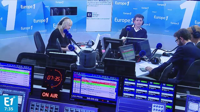 Grippe aviaire : mobilisation pour sauver des canards de l'abattage