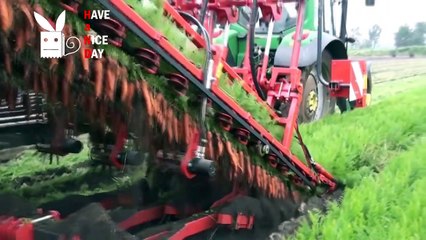 Рай для перфекциониста 2017. Most Satisfying Video Compilation HD