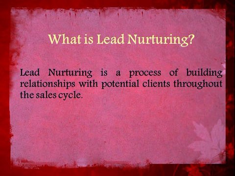 Lead Nurture - Lead Generation services - B2B Capricorn