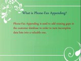 Phone - Fax Appending Services - B2B Capricorn