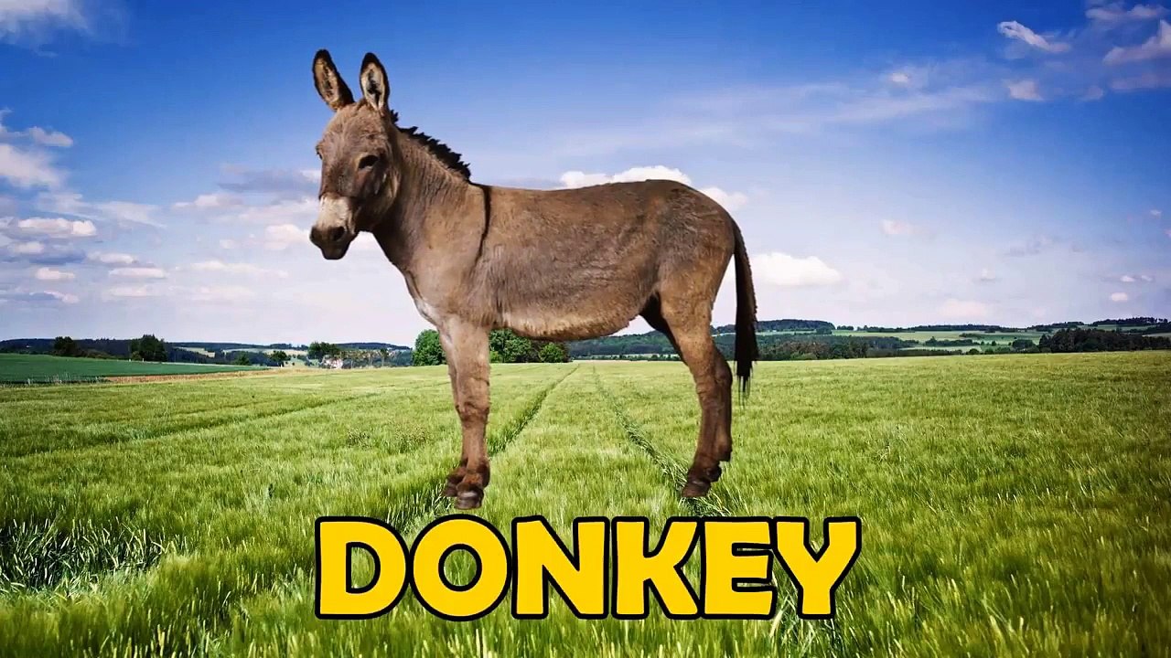 Finger Family Dinosaurs VS Farm Animals  Nursery Rhymes - Jura