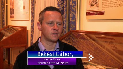Szemere Szalon - beszélgetés Békési Gáborral