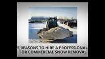 Why You Need To Hire A Paving Contractor For Snow Removal