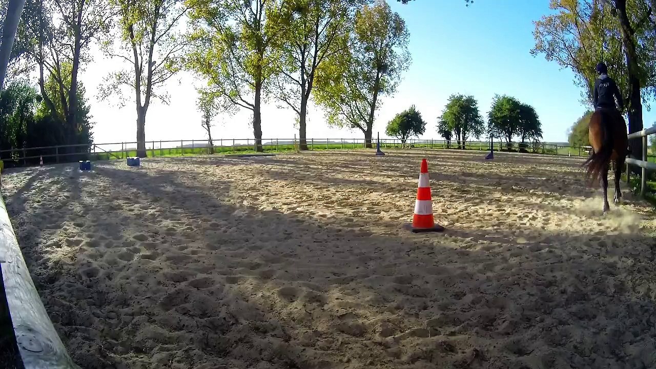 elsa 3eme seance trot