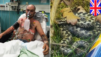 ベビーカーの下に毒ヘビ！指噛まれた男性、一命取り留める
