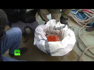 Black box from crashed Tu-154 retrieved from sea, taken to Moscow Region for deciphering