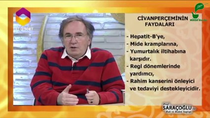 Adet düzensizliği için civanperçemi kürü- ibrahim saraçoğlu