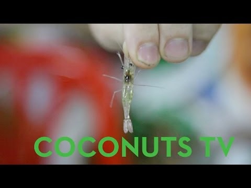 Freaky Feasts #2: Goong Ten (Dancing Shrimp)