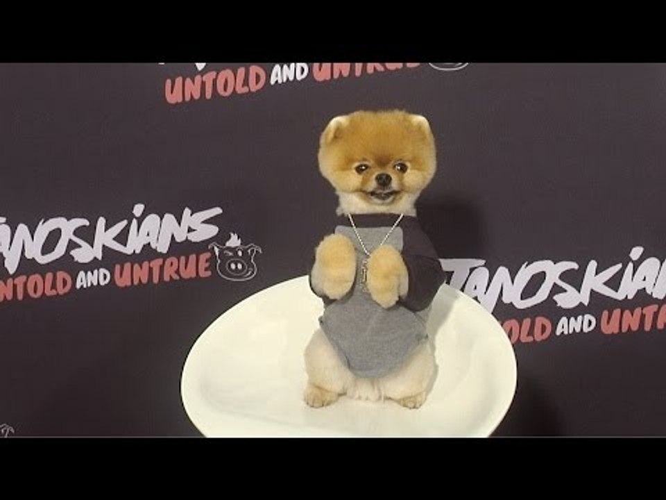 Jiff Pom (Fastest Dog On Two Legs) // "Janoskians Untold and Untrue" Red Carpet Premiere