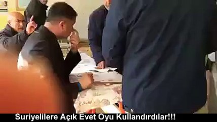 Referandumda Suriyelilere Açık Evet Oyu Kullandırdılar